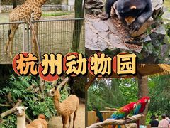 -杭州动物园