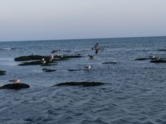 -银沙滩浴场