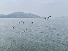 -水上明月·湖景餐厅