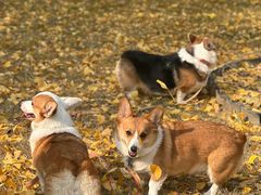 -西北湖绿化广场