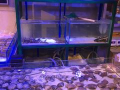 -十六蒲(桂林路店)