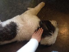 iphone_upload_pic-莓园冰淇淋店