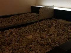 -汤里来温泉