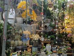 -循礼门鲜花花市(武汉循礼门店)