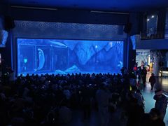 -上海海昌海洋公园-冰山北极馆