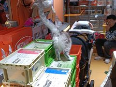 -MARSMART PETS火星宠物超市(1733店)
