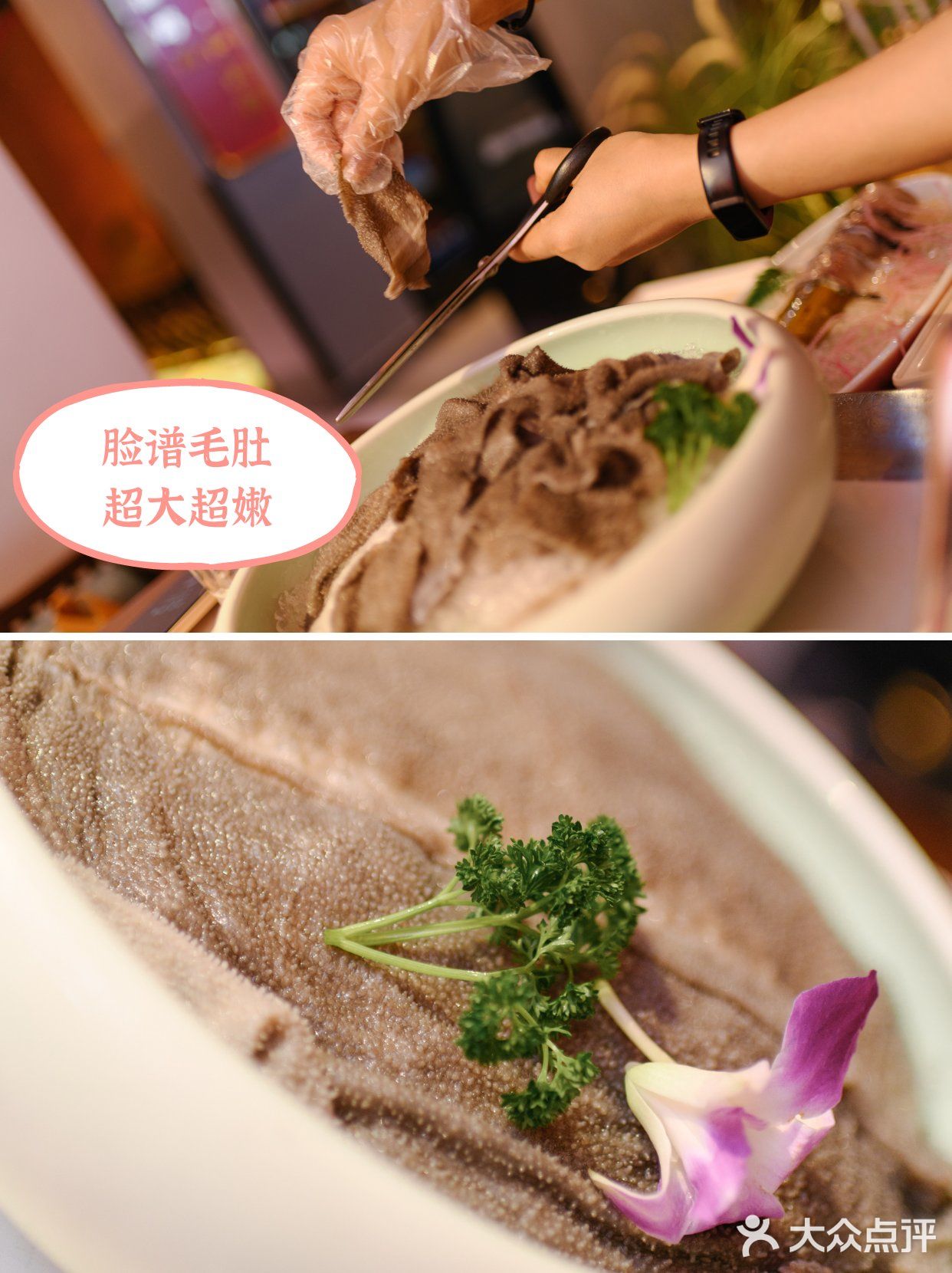 「假装在四川」袍老爷成都鲜货火锅
