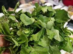 广东西洋菜-丫丫汤膳打边炉(宏府408坊店)