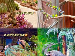 -正佳雨林生态植物园