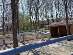 -长白岛森林公园