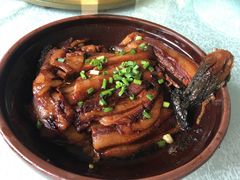 -食家鸽园