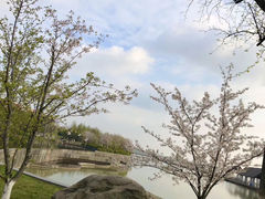 -滆湖低碳生态公园