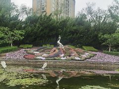 -中山公园
