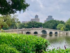 -荔湾湖公园