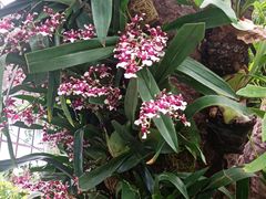 -华南国家植物园-售票处