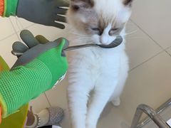 -怪兽屋·羊驼·猫咖·狗咖(俊华广场店)