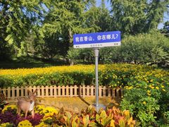 -香山公园