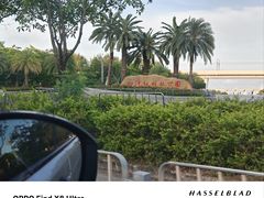 -宝安西湾红树林湿地公园