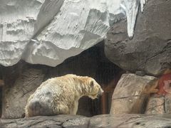 -海合安武汉极地海洋公园