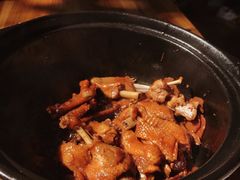 -百家春好德来姜母鸭