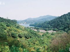-广州市帽峰山景区