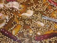 头道招牌不忘初心水煮鱼-初蓉丨遇见新川菜(亲贤街荣耀店)