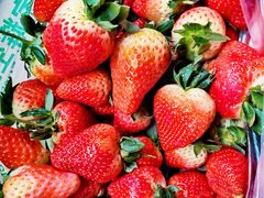 -家辉生鲜超市(东五路店)