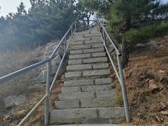 -金龙寺国家森林公园