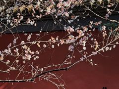 -钱王祠