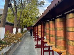 -护国法轮寺