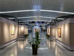 -石家庄正定国际机场-T2航站楼