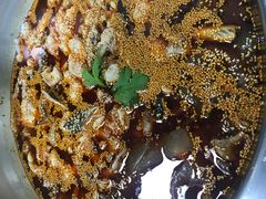 -川渔居—鱼火锅(八方汇店)