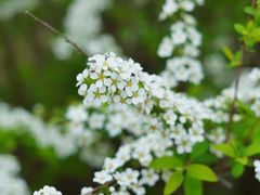 -江南大学(蠡湖校区)