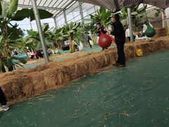 -麻涌飞鸭开心农场