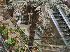 -双季花艺园艺市场(浦东店)