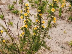 -白水寺森林公园