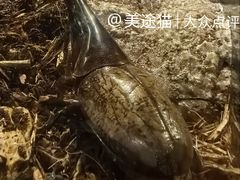 -太平洋海底世界