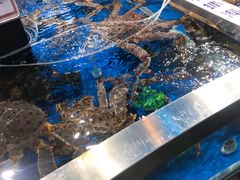-盒马鲜生(莱蒙都会店)