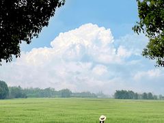 -中国天府农业博览园