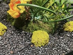 -曼格纳·曼芯馆(杨浦店)