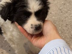 -浙江国际赛车场