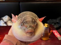 -永安鱼庄·镇江菜(东吴路店)