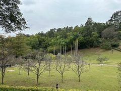 -广州莲花山旅游区