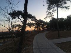 -幸福蛋糕坊(金顶街店)