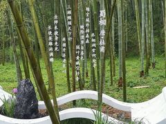 -古隆中景区
