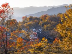 -塔川景区