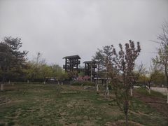 -绿堤公园
