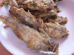 -小六农家乐(崇明西沙湿地店)