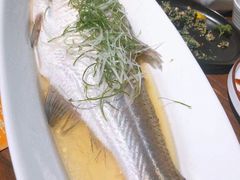 清蒸太湖白鱼-金枝玉叶上海人家食府(三里河店)