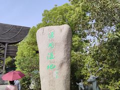 -溱湖国家湿地公园